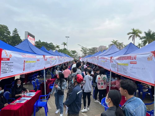 开工月狂飙 全市人社系统开启重点企业用工保障服务新篇章